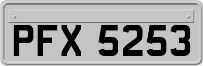 PFX5253