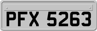 PFX5263