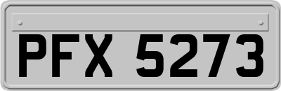 PFX5273