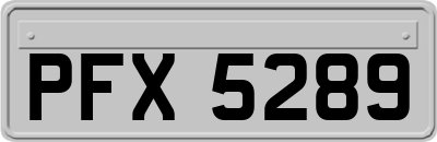 PFX5289