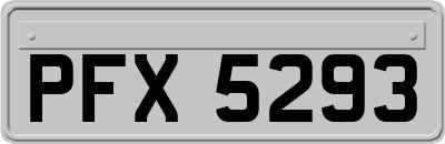 PFX5293