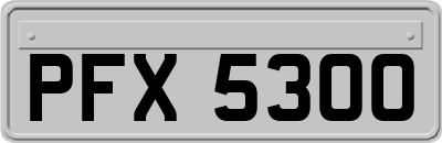 PFX5300