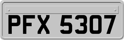 PFX5307