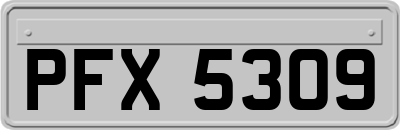 PFX5309
