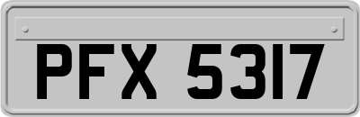 PFX5317