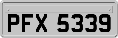 PFX5339