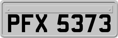 PFX5373