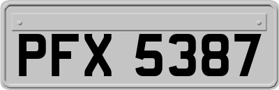 PFX5387