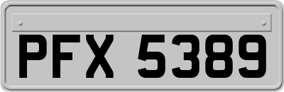 PFX5389