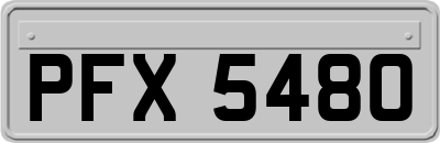 PFX5480