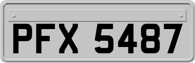 PFX5487