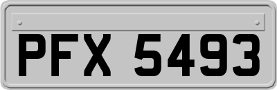 PFX5493