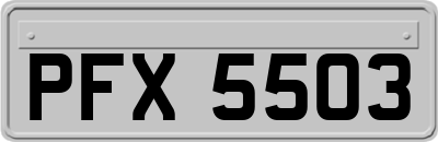 PFX5503