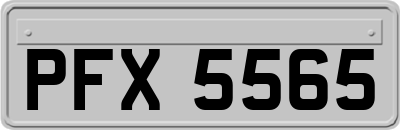 PFX5565