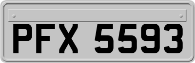 PFX5593