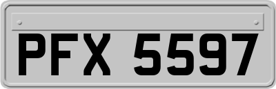 PFX5597