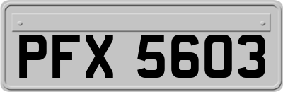 PFX5603