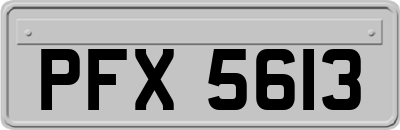 PFX5613