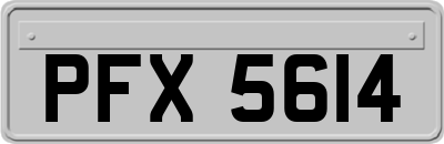 PFX5614