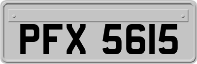 PFX5615