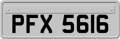 PFX5616