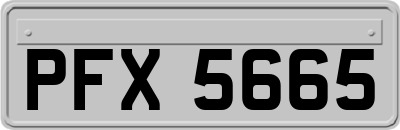 PFX5665