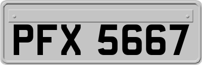 PFX5667