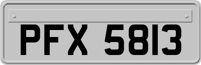 PFX5813