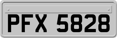 PFX5828