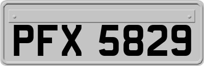 PFX5829