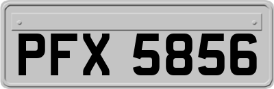 PFX5856