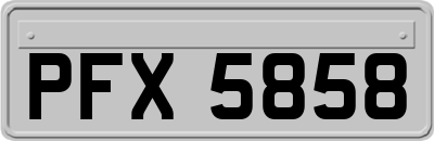 PFX5858