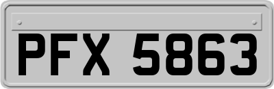 PFX5863