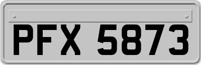 PFX5873