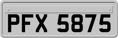 PFX5875