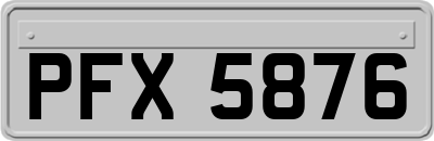 PFX5876