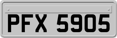 PFX5905