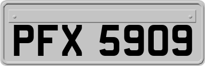 PFX5909