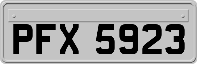 PFX5923