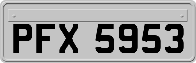 PFX5953