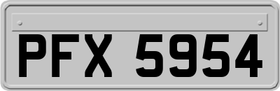 PFX5954