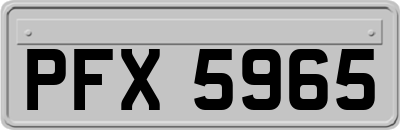PFX5965