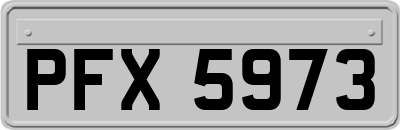 PFX5973