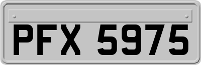 PFX5975