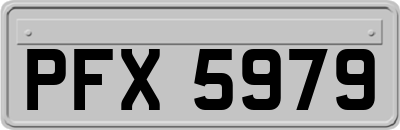 PFX5979
