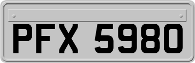 PFX5980