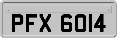 PFX6014