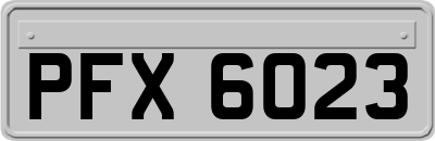 PFX6023