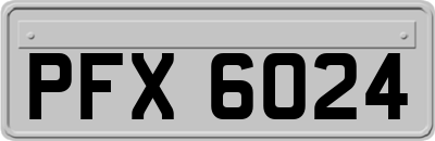 PFX6024