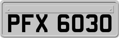 PFX6030